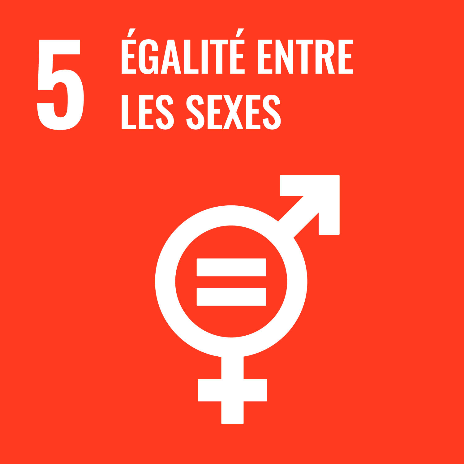 05 - Égalité entre les sexes