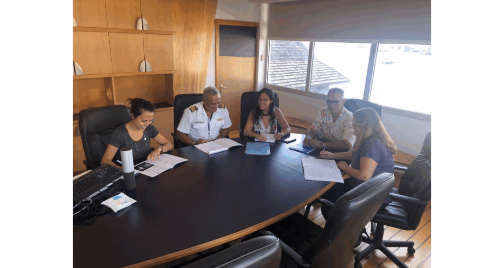 Papeete (French Polynesia): reconciling economic recovery and environmental protection