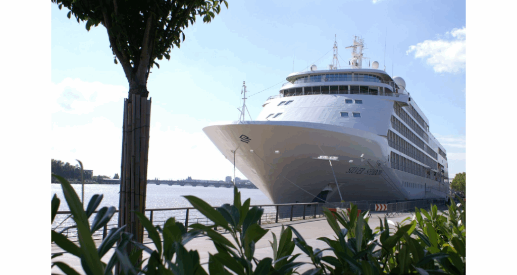 Will cruises restart like before? 3 perspectives from AIVP’s network