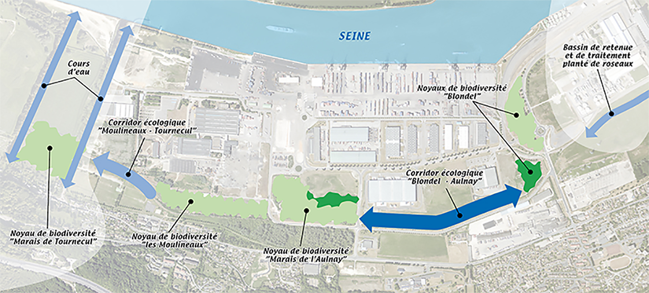Rouen (France) étend ses corridors écologiques