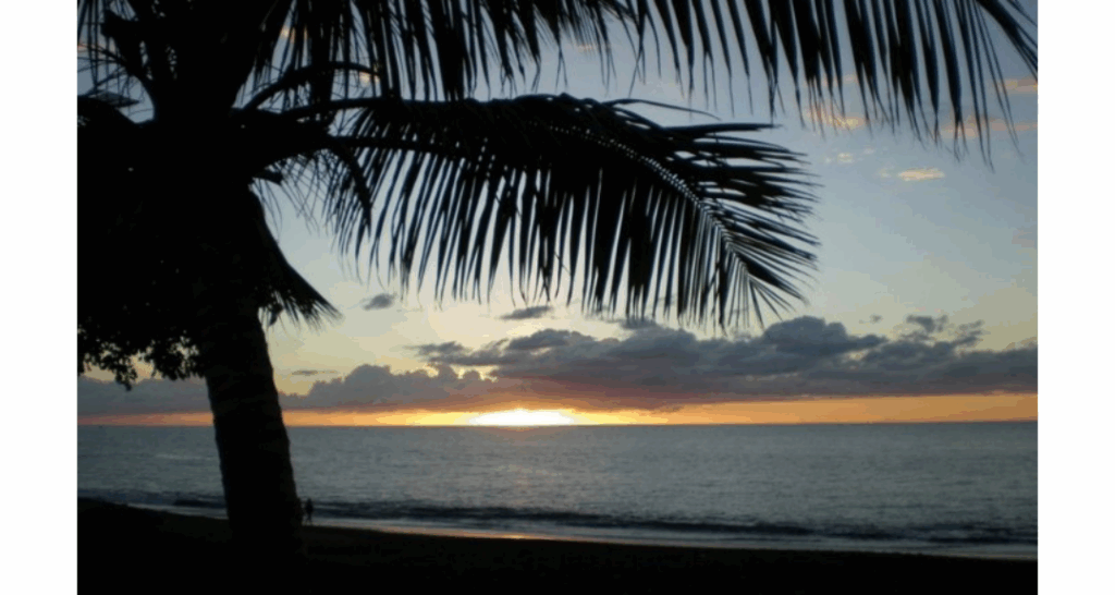 Les îles du Sud-Ouest de l’océan Indien face à l’élévation du niveau de la mer