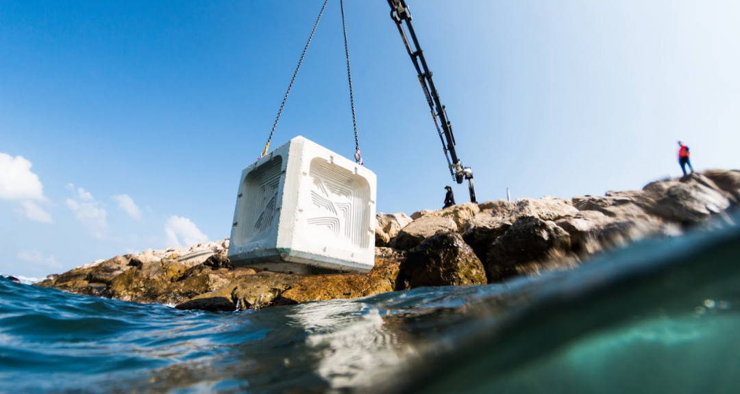 Adaptación costera: un mercado en crecimiento frente al aumento del nivel del mar
