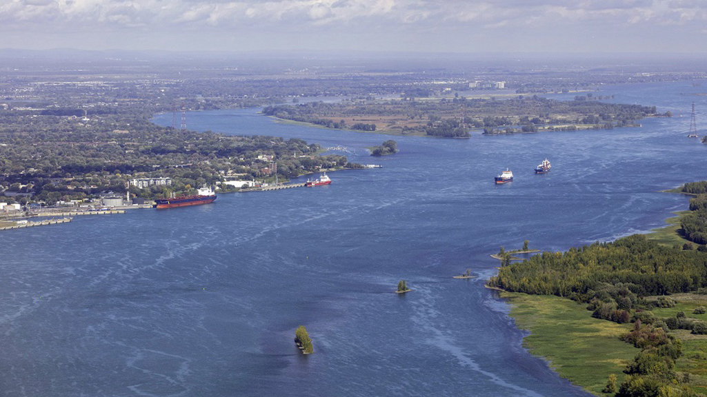 Día Mundial del Medioambiente. Las ciudades puerto fortalecen su compromiso.