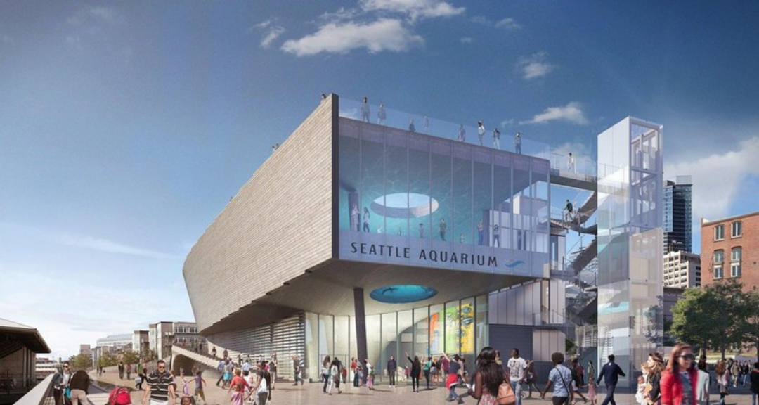 El Puerto y el Acuario de Seattle (Estados Unidos) firman una alianza para la sostenibilidad de los océanos