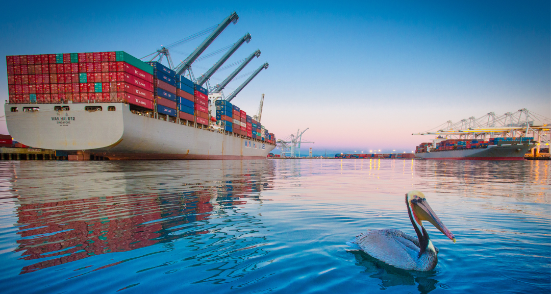 Build Back Better: reactivación verde en los puertos de Oakland y Los Angeles – Long Beach (EE.UU.)