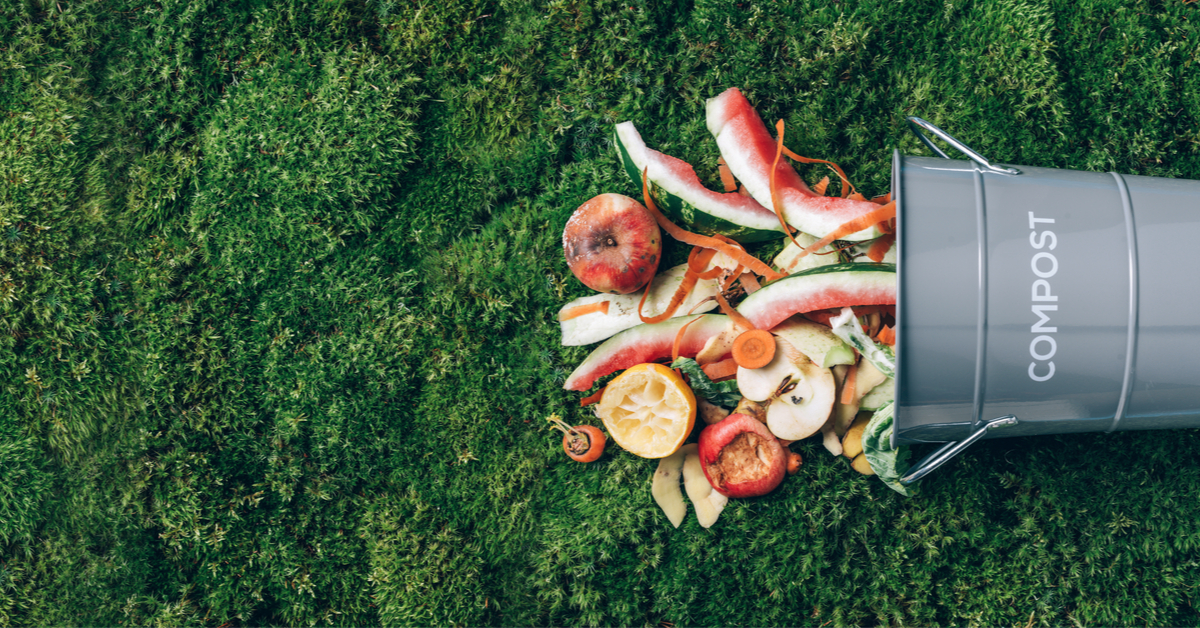 Producing biofuels from organic waste