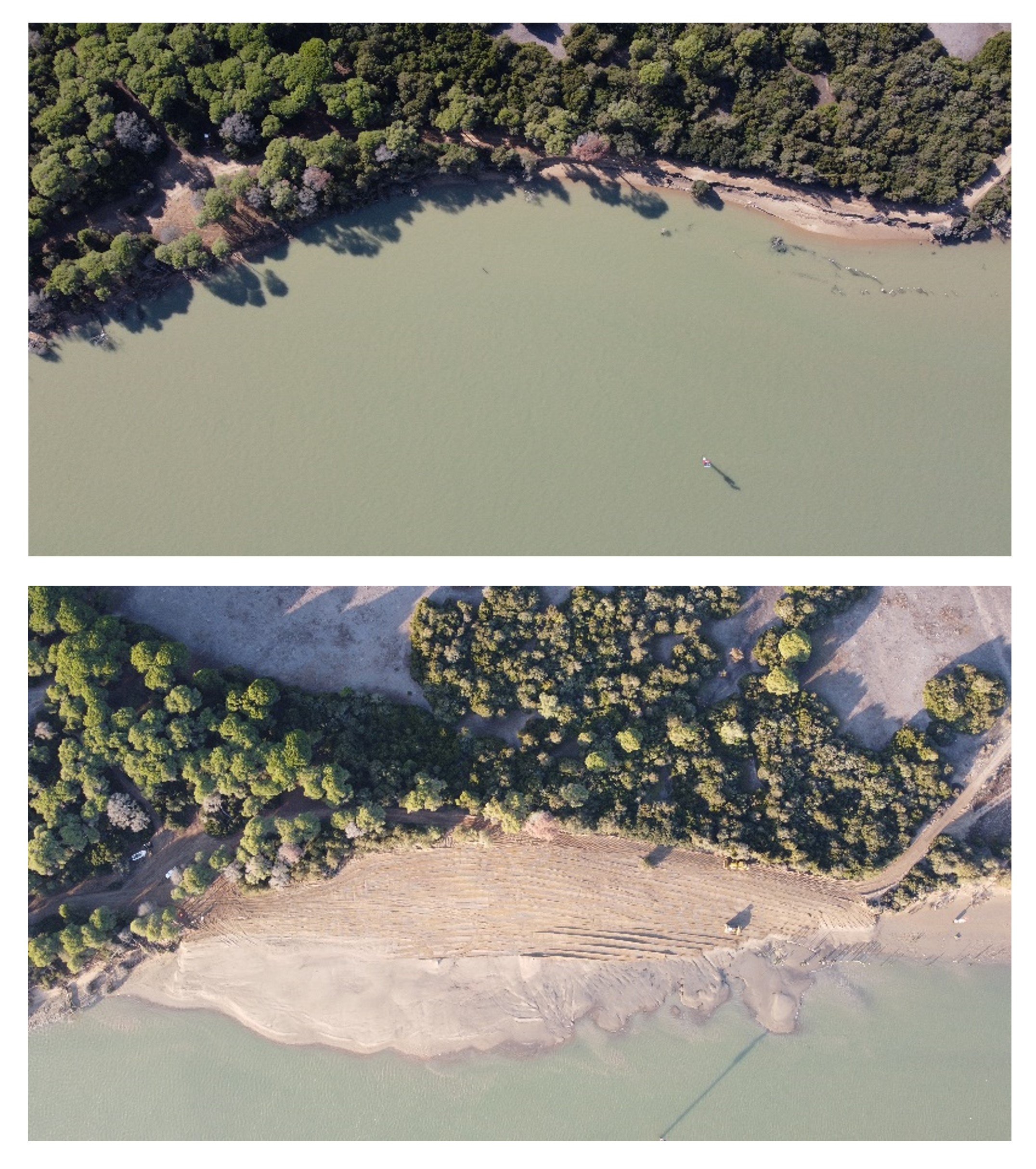 The port of Seville (Spain) regenerates the Doñana coastline with dredging sediments