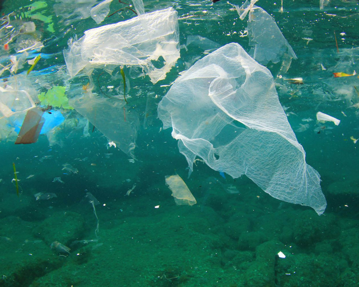 ¿Cómo afrontar el reto de los residuos plásticos en el océano?