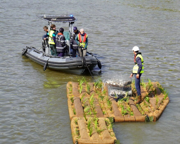 Alongside the Brussels-Capital region, the Port of Brussels (Belgium) commits to biodiversity