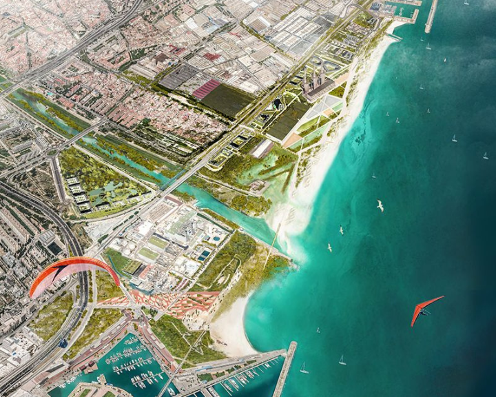 Can nature-based solutions protect our coastlines?