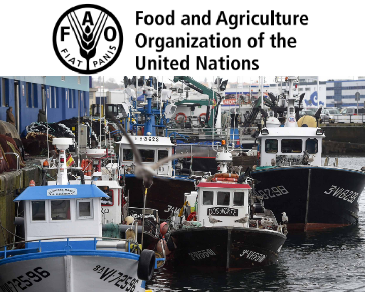 FAO’s guide to a blue transformation of fishing ports