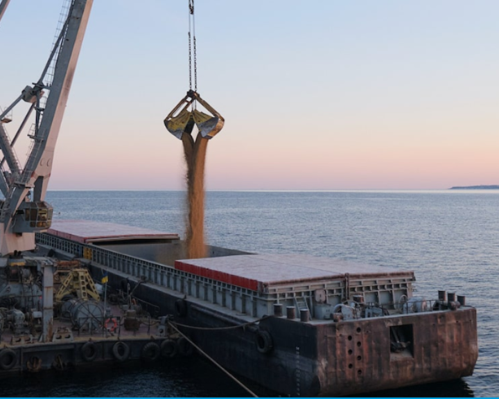 Los puertos y la Iniciativa de Cereales del Mar Negro