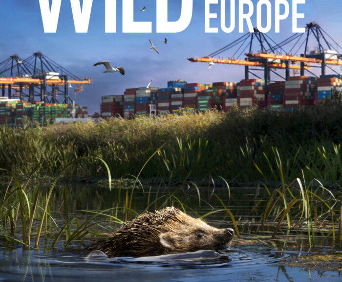 Wild Port of Europe