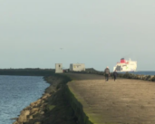 El Puerto de Dublín recurre a la ecoingeniería para proteger la biodiversidad 