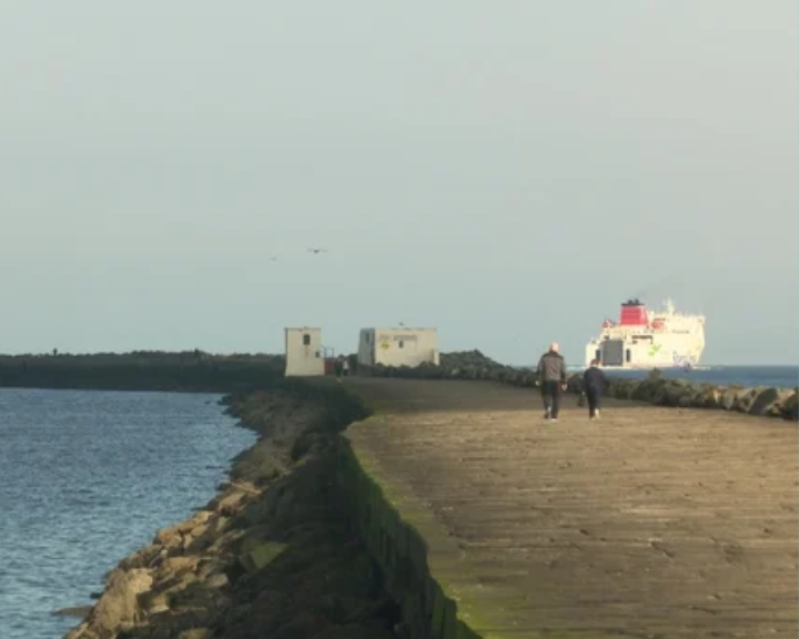 Le Port de Dublin utilise l’éco-ingénierie pour protéger la biodiversité
