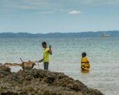 Madagascar improves the transparency of its fisheries sector