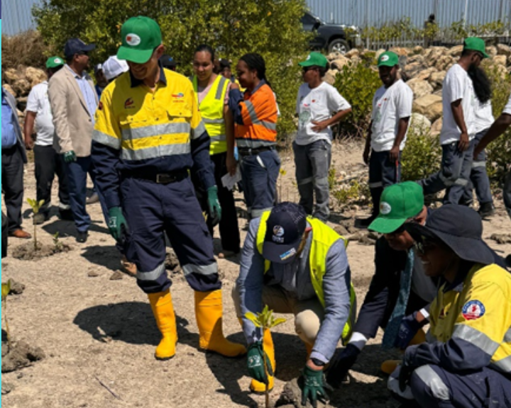 Los puertos de Papúa Nueva Guinea se centran en la protección de los manglares
