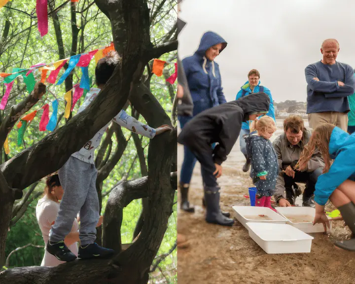 Un festival de biodiversidad en la Isla de Wight para concienciar