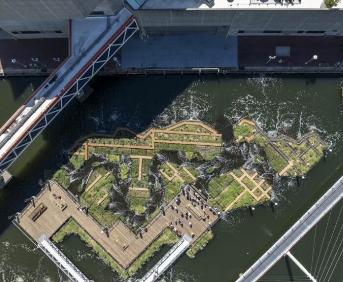 Baltimore's Harbor Wetland