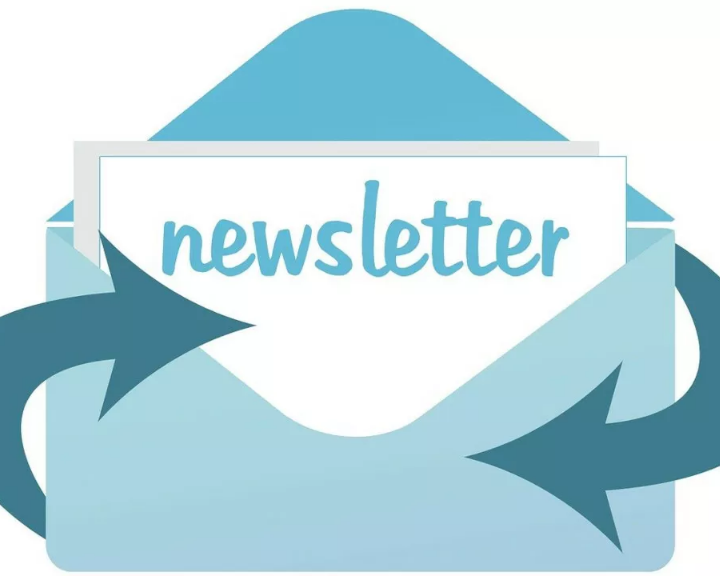 Suspensión temporal de la newsletter