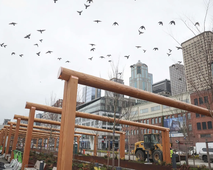 L’art et le patrimoine indigènes pour redéfinir le waterfront de Seattle