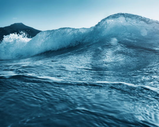 Opinion piece in Les Echos: “The blue economy is organizing, but time is running out” — a strong message supported by AIVP
