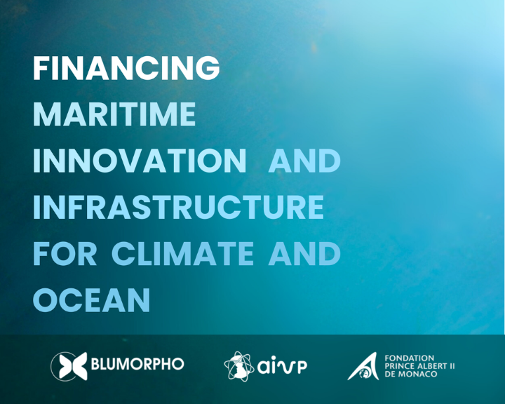 Financing the Maritime Transition: Blumorpho’s New Booklet