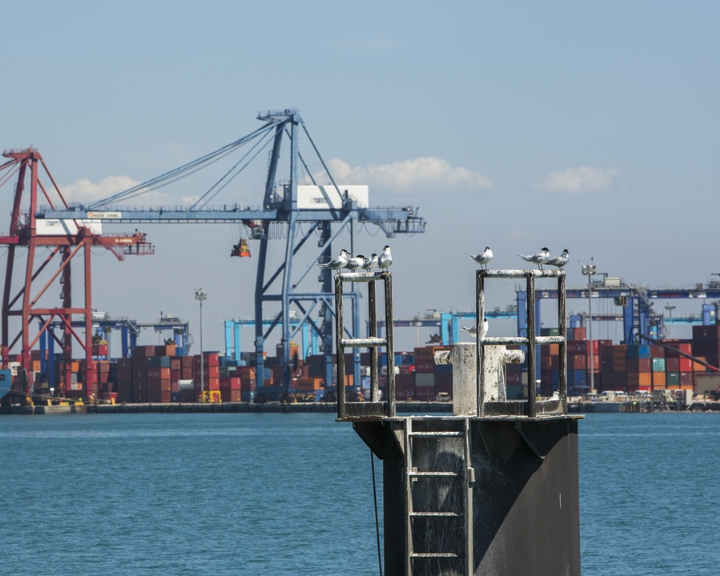 Valencia moviliza sus puertos ante el desafío climático