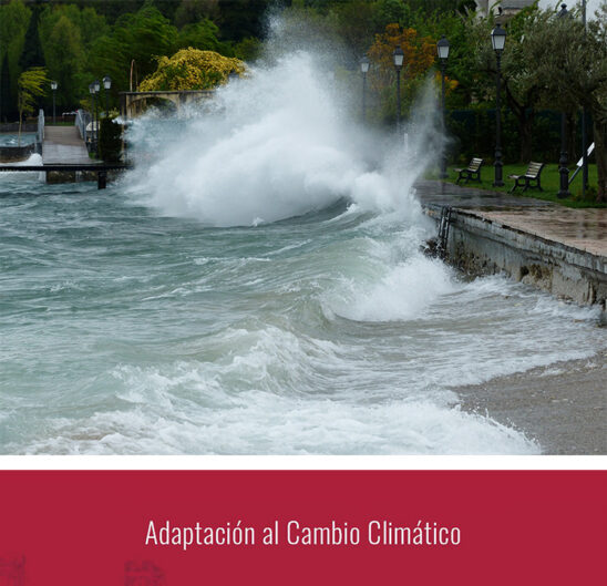 La actualidad internacional Ciudad Puerto